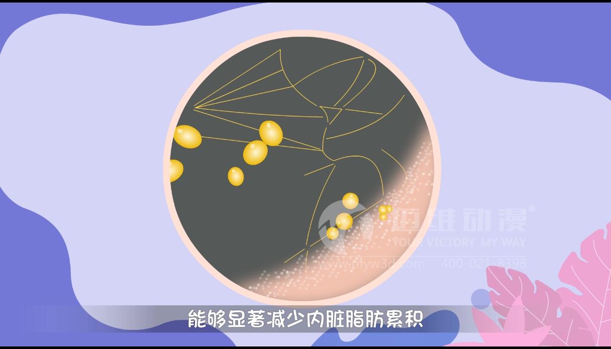 MG動畫，邁維動漫.jpg
